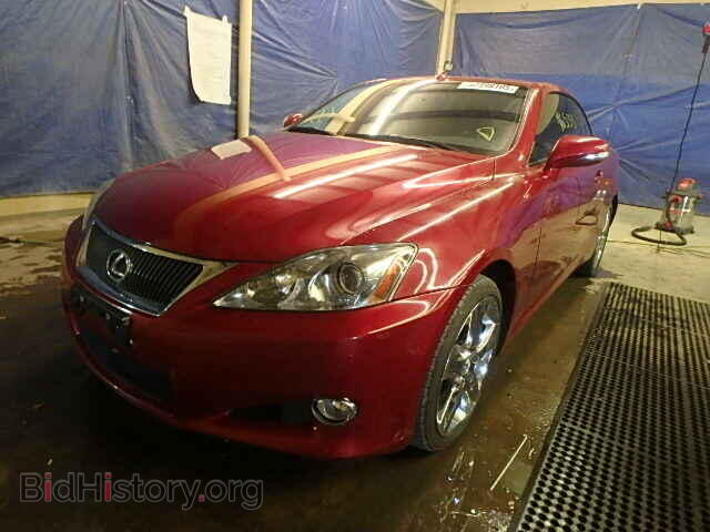 2010 LEXUS IS250 - VIN: JTHFF2C2XA2510426 - Фото 2