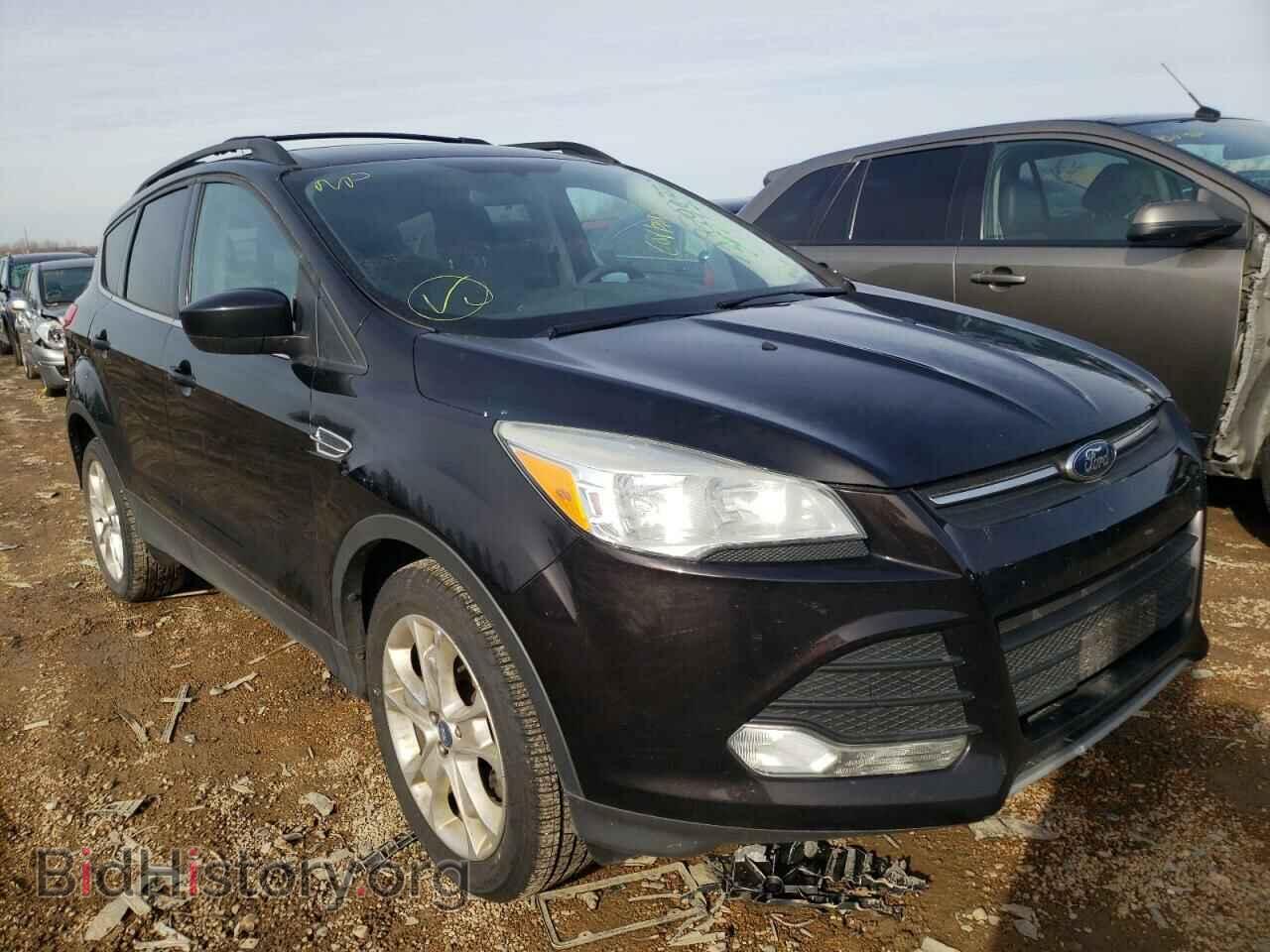 Фотография 1FMCU0GX5DUC76284 - FORD ESCAPE 2013