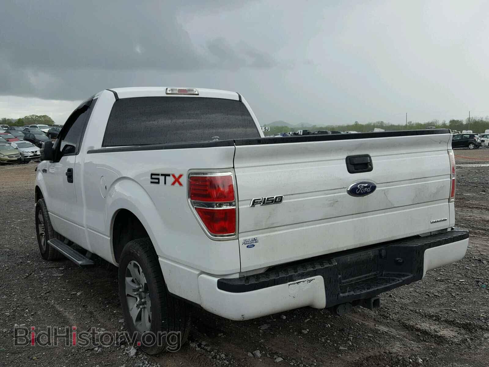 2013 FORD F150 - VIN: 1FTMF1CM3DFB14713 - Фото 3