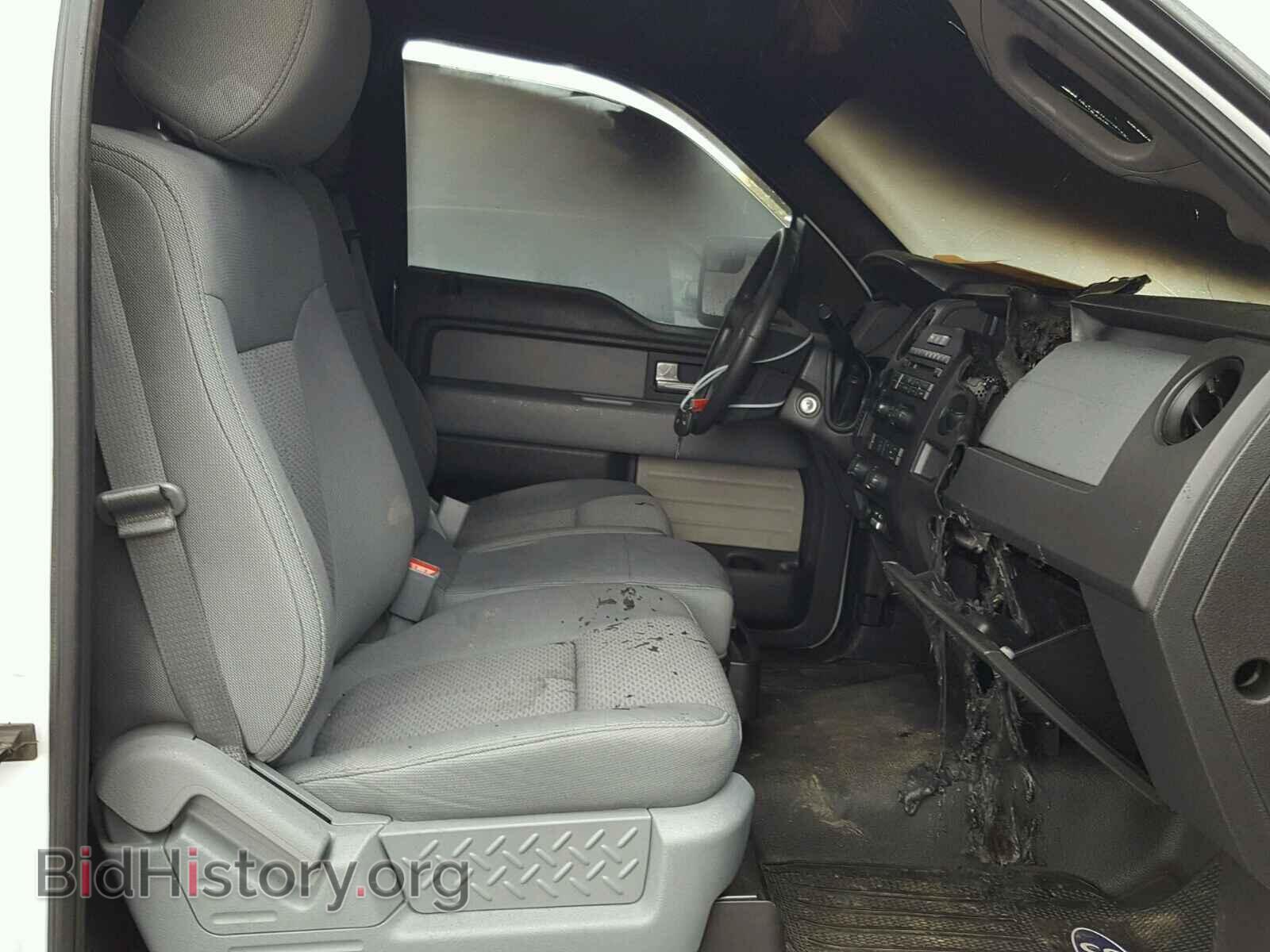 2013 FORD F150 - VIN: 1FTMF1CM3DFB14713 - Фото 5