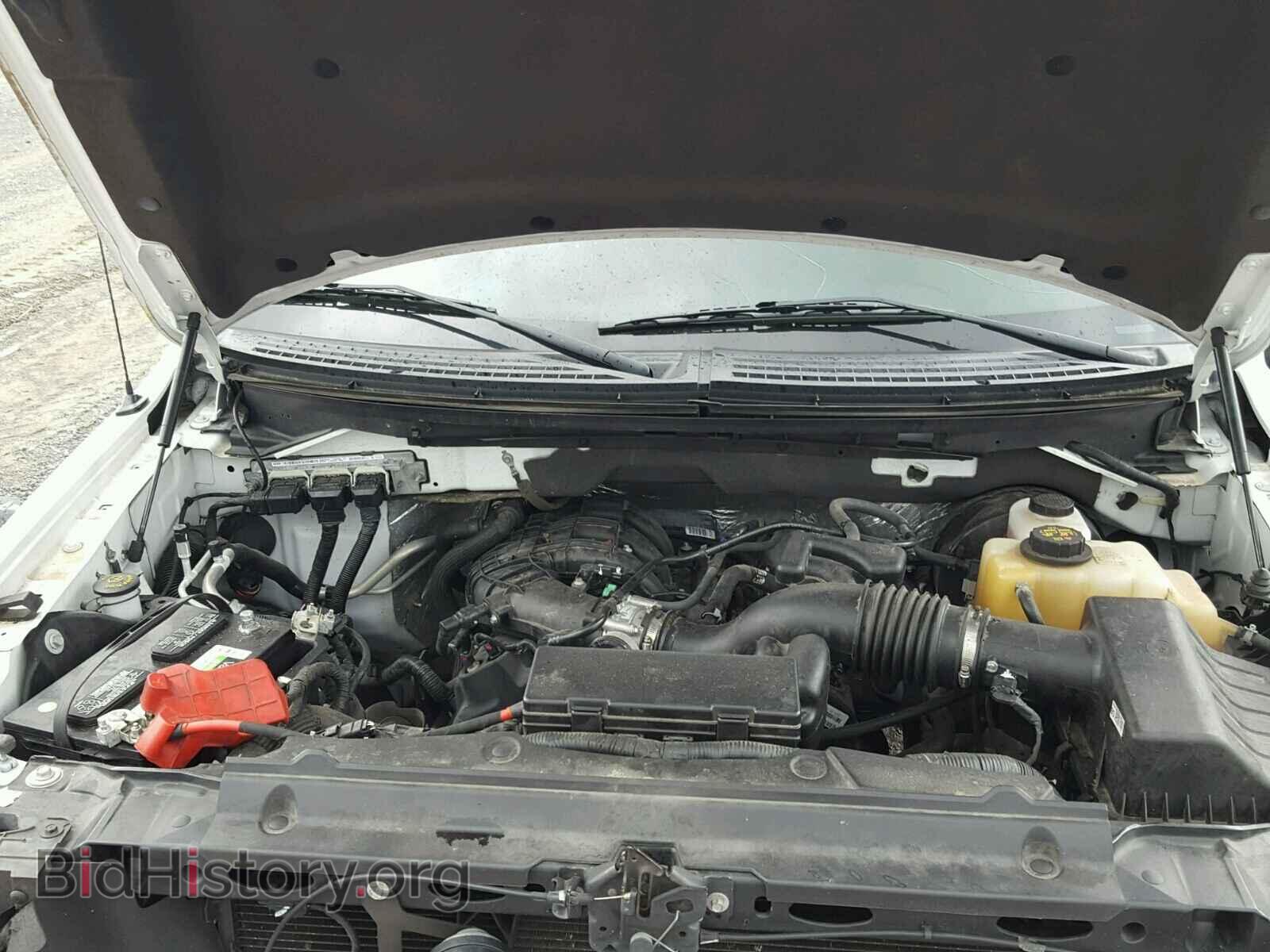 2013 FORD F150 - VIN: 1FTMF1CM3DFB14713 - Фото 7