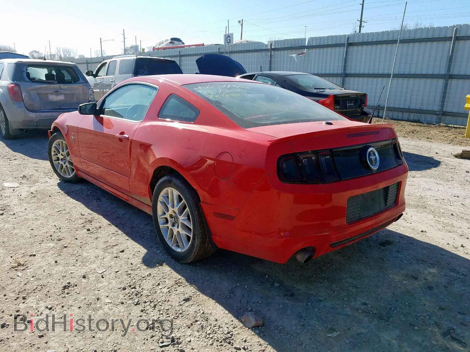 2013 FORD MUSTANG - VIN: 1ZVBP8AM8D5252802 - Фото 3