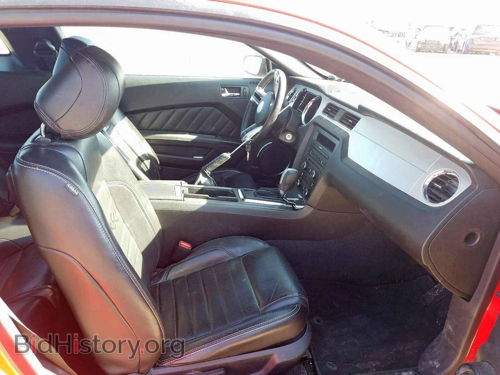 2013 FORD MUSTANG - VIN: 1ZVBP8AM8D5252802 - Фото 5