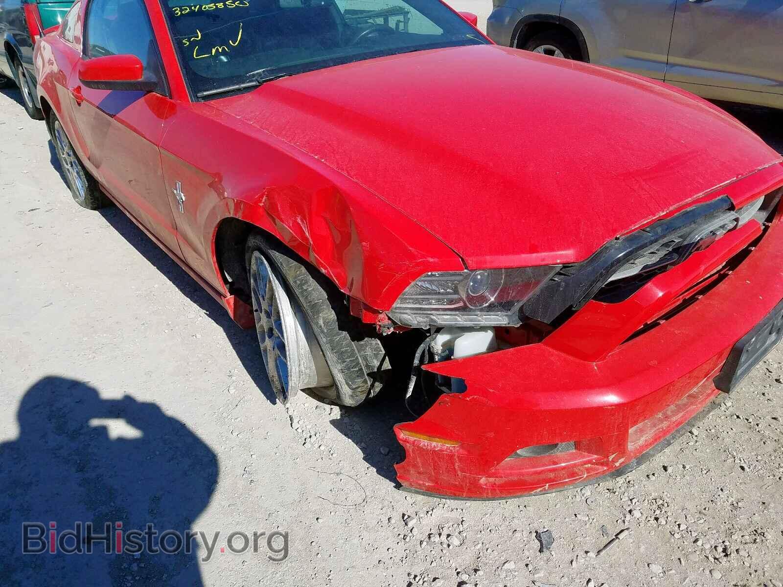 2013 FORD MUSTANG - VIN: 1ZVBP8AM8D5252802 - Фото 9