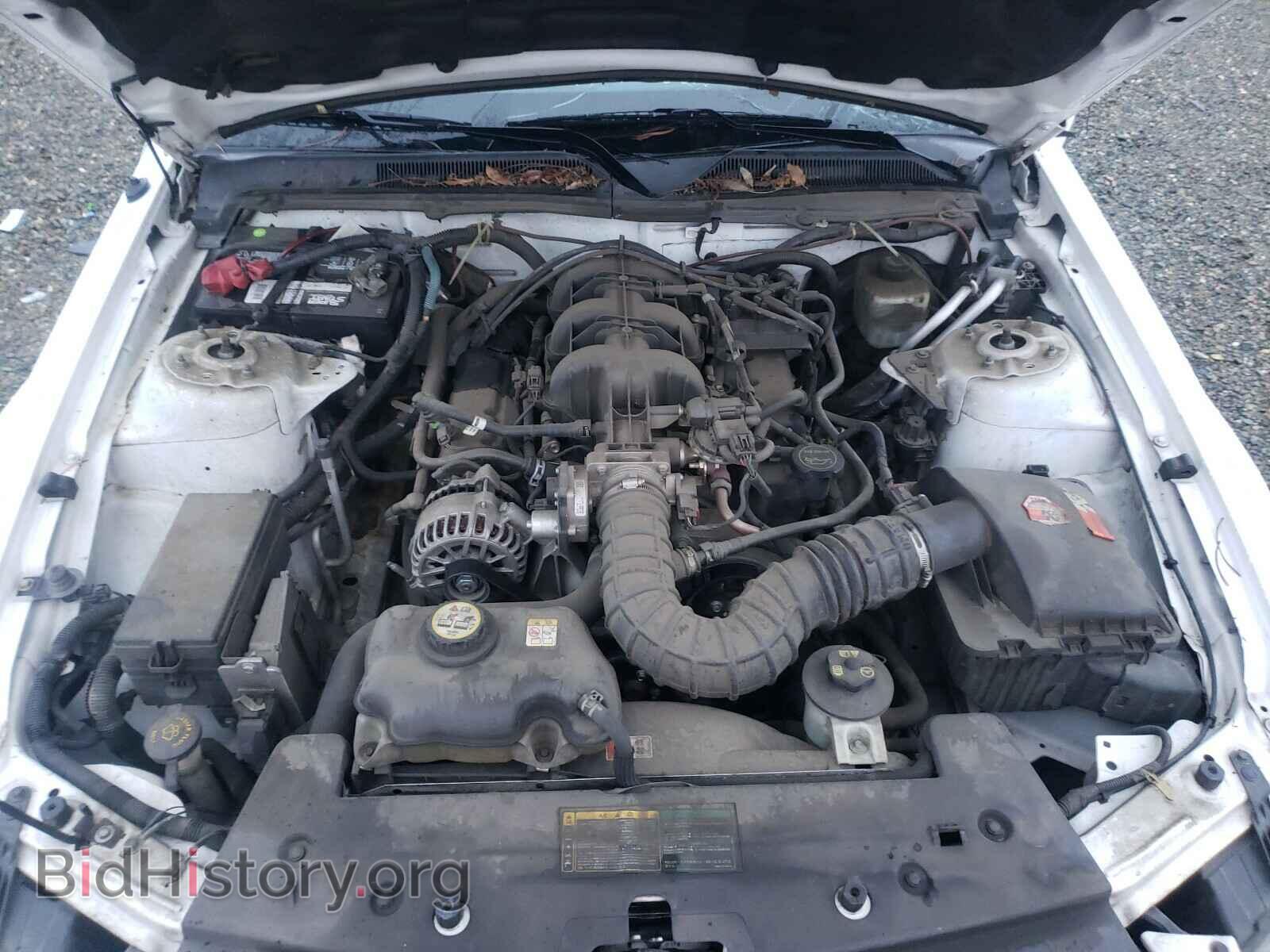 2006 FORD MUSTANG - VIN: 1ZVFT80N465161293 - Фото 7