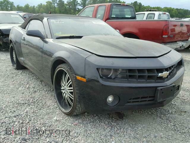 Photo 2G1FC3DD3B9176963 - CHEVROLET CAMARO 2011