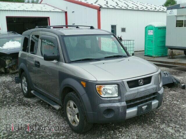 Photo 5J6YH28644L024980 - HONDA ELEMENT 2004