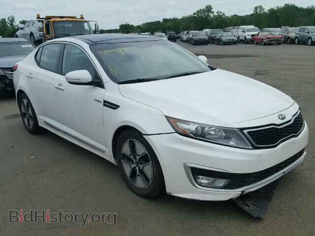 Фотография KNAGM4AD9D5062143 - KIA OPTIMA 2013