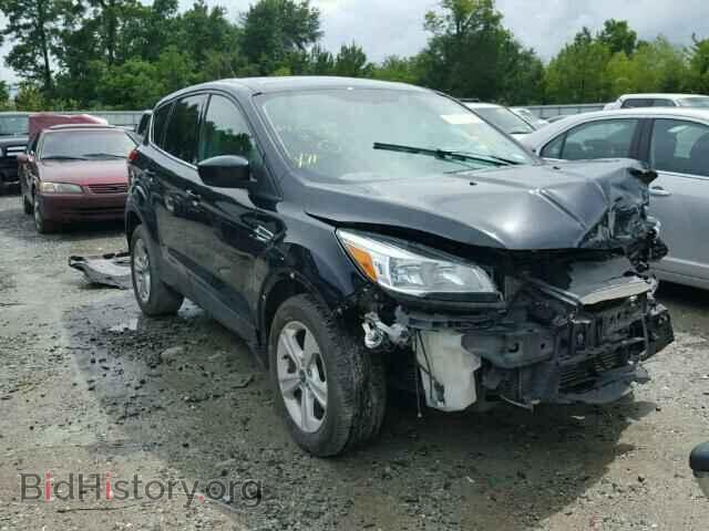 Photo 1FMCU0GX1DUB45899 - FORD ESCAPE 2013