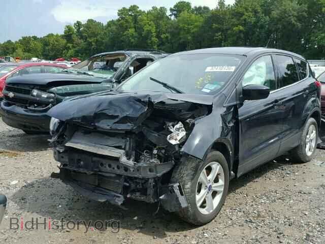 2013 FORD ESCAPE - VIN: 1FMCU0GX1DUB45899 - Photo 2