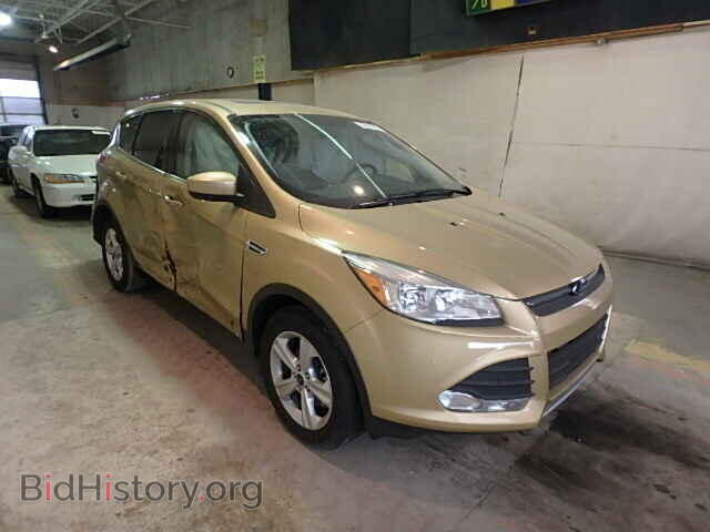 Фотография 1FMCU0G91EUD71203 - FORD ESCAPE 2014
