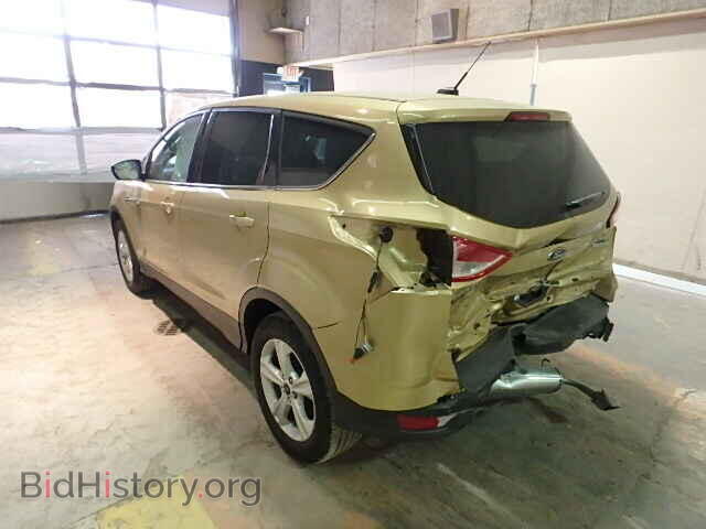 2014 FORD ESCAPE - VIN: 1FMCU0G91EUD71203 - Фото 3