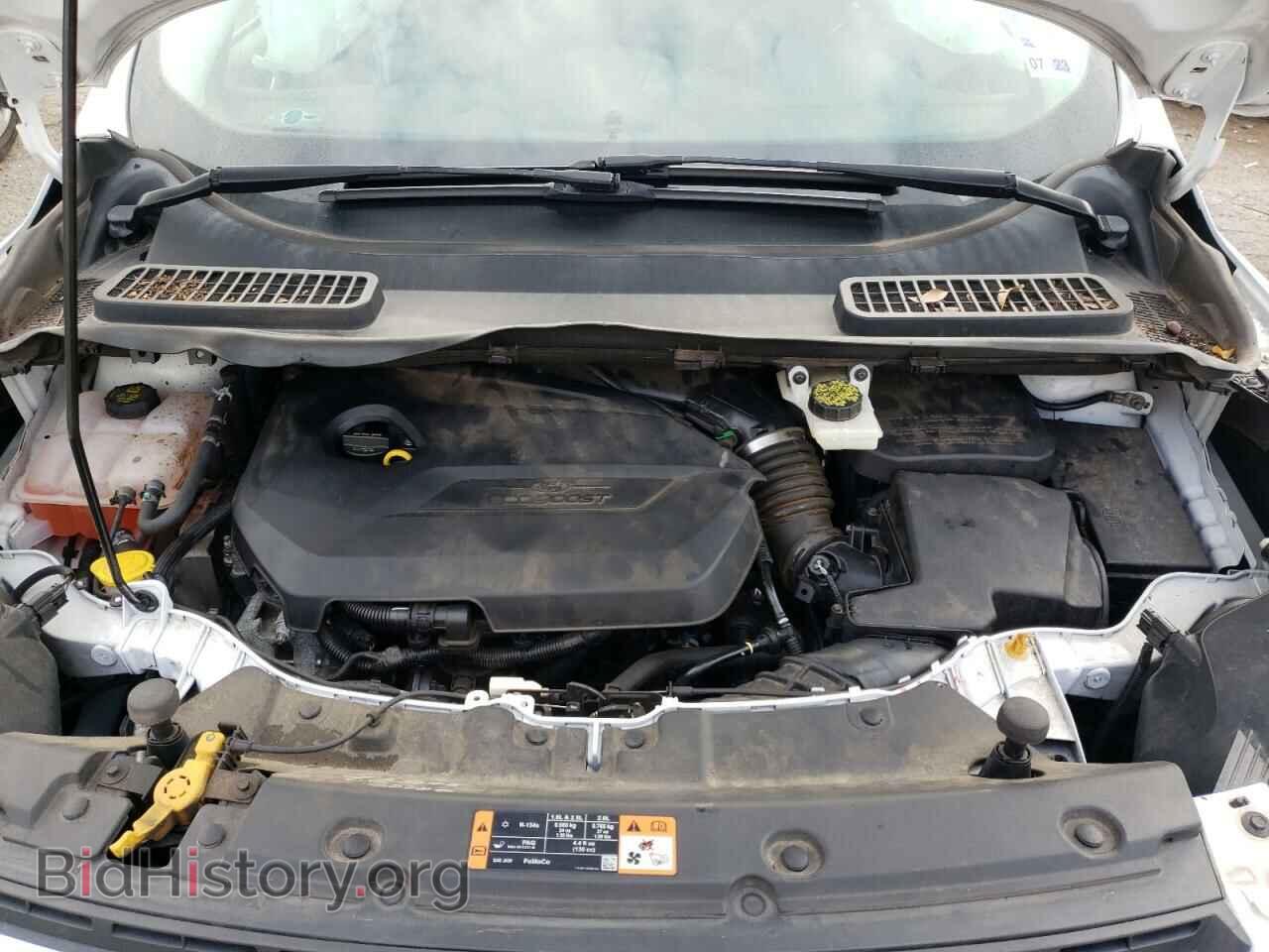 2014 FORD ESCAPE - VIN: 1FMCU0GX4EUC49367 - Photo 7