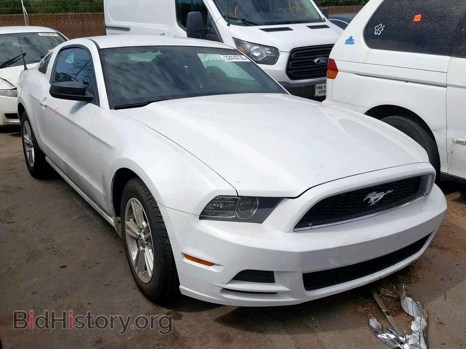 Фотография 1ZVBP8AM8E5333834 - FORD MUSTANG 2014