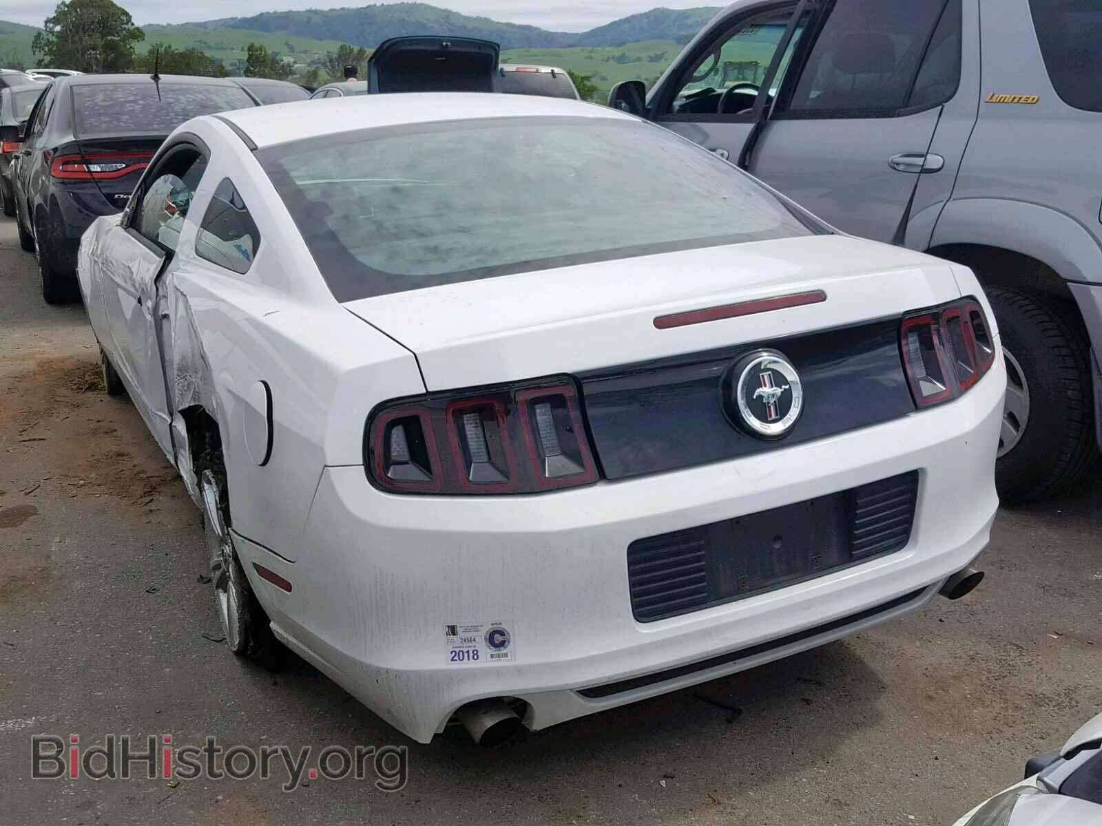 2014 FORD MUSTANG - VIN: 1ZVBP8AM8E5333834 - Фото 3