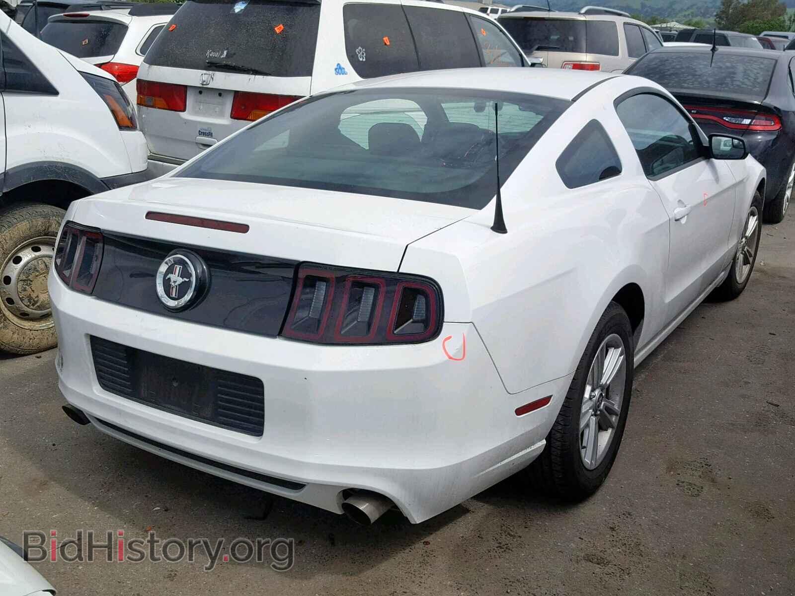 2014 FORD MUSTANG - VIN: 1ZVBP8AM8E5333834 - Фото 4
