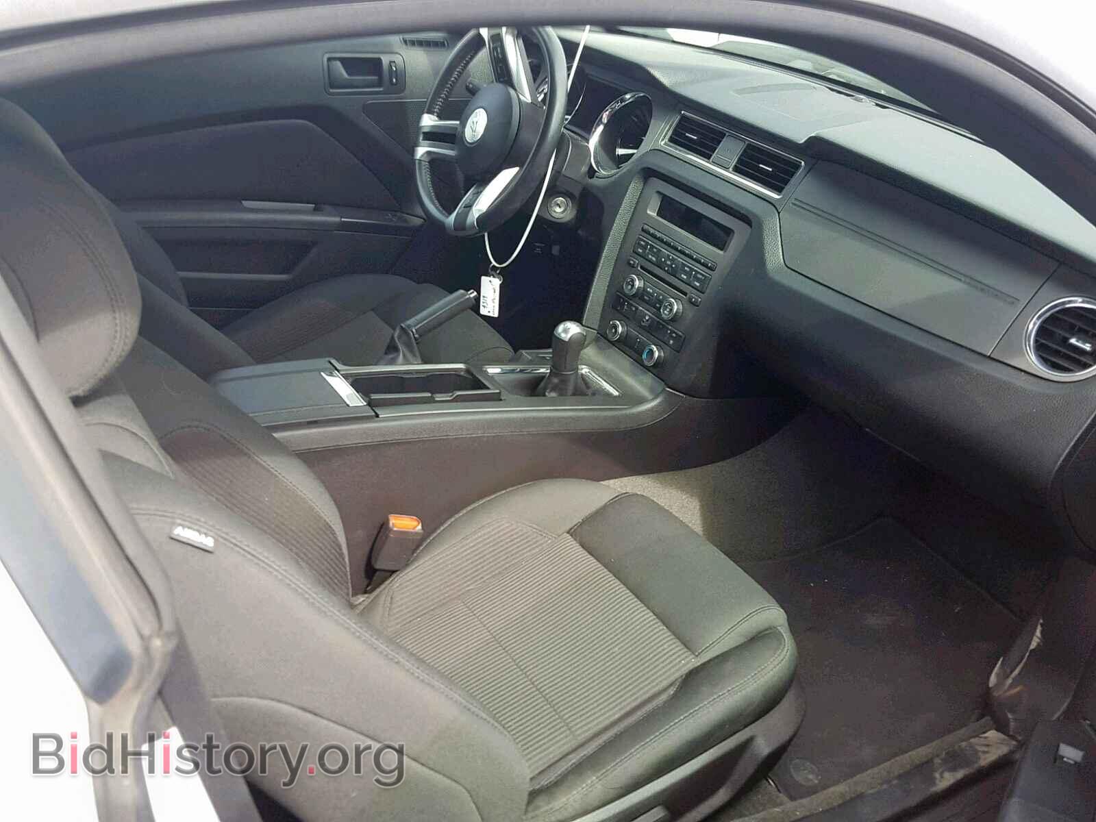 2014 FORD MUSTANG - VIN: 1ZVBP8AM8E5333834 - Фото 5