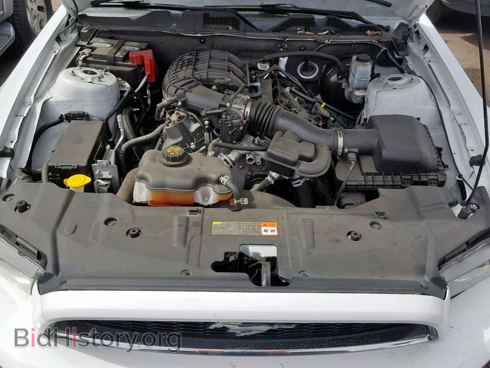 2014 FORD MUSTANG - VIN: 1ZVBP8AM8E5333834 - Фото 7