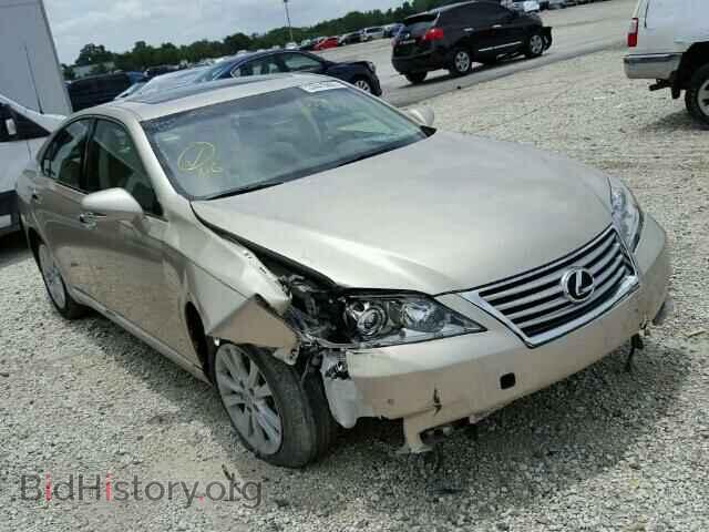 Photo JTHBK1EG7A2345626 - LEXUS ES350 2010