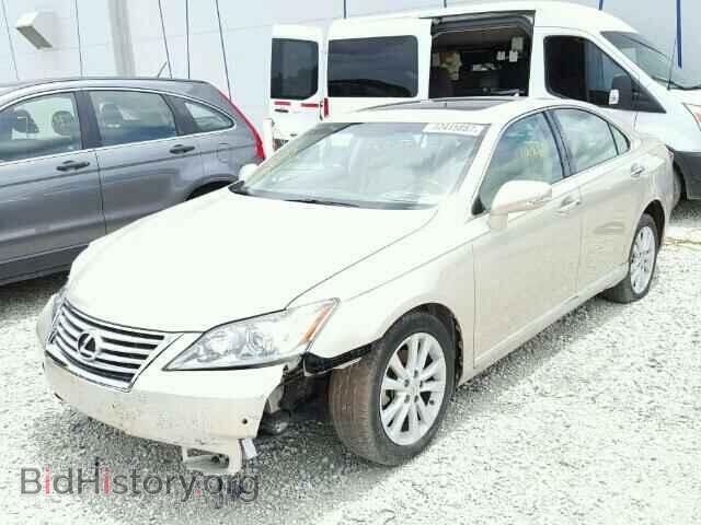 2010 LEXUS ES350 - VIN: JTHBK1EG7A2345626 - Фото 2
