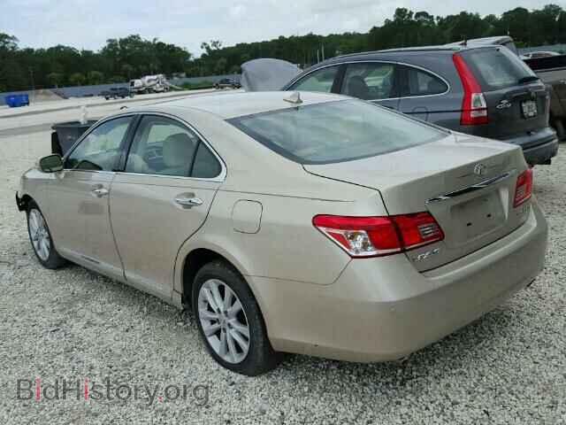 2010 LEXUS ES350 - VIN: JTHBK1EG7A2345626 - Фото 3