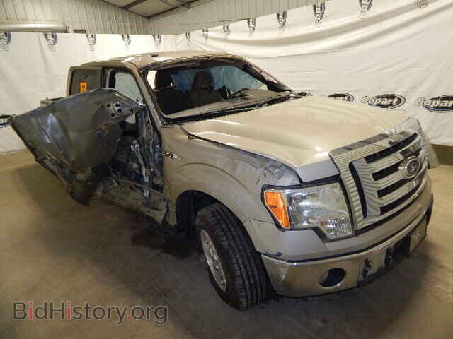 Фотография 1FTFW1CV1AFA70319 - FORD F150 2010