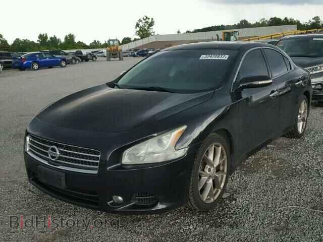 2010 NISSAN MAXIMA - VIN: 1N4AA5AP7AC827381 - Фото 2