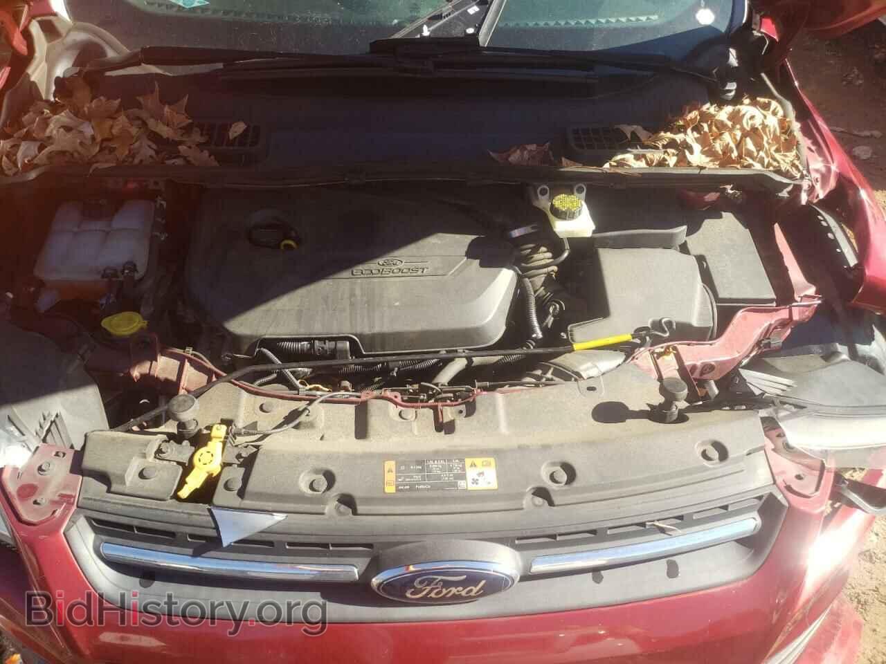 2014 FORD ESCAPE - VIN: 1FMCU0GX1EUB22088 - Фото 7