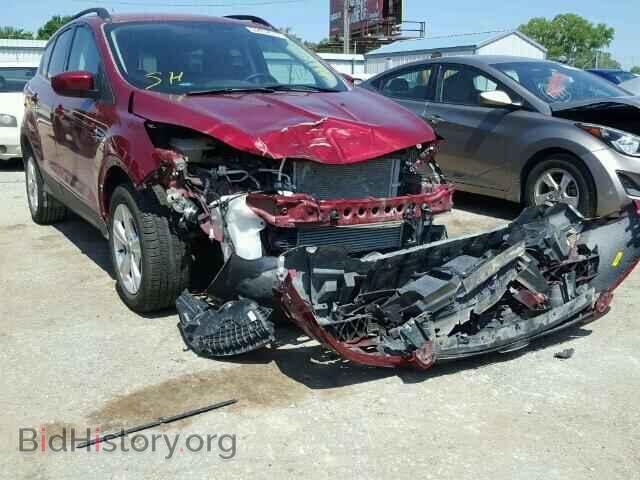 Фотография 1FMCU9GX9EUB46143 - FORD ESCAPE 2014