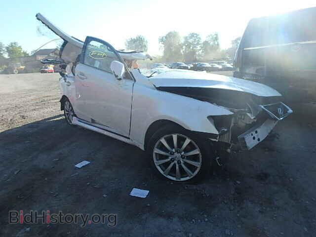 Photo JTHCK262282027355 - LEXUS IS250 2008