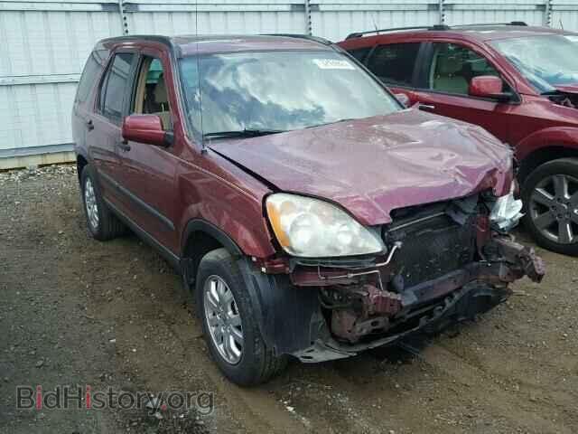 Фотография SHSRD78835U313298 - HONDA CRV 2005