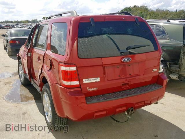 2011 FORD ESCAPE - VIN: 1FMCU0DG4BKC02321 - Photo 3