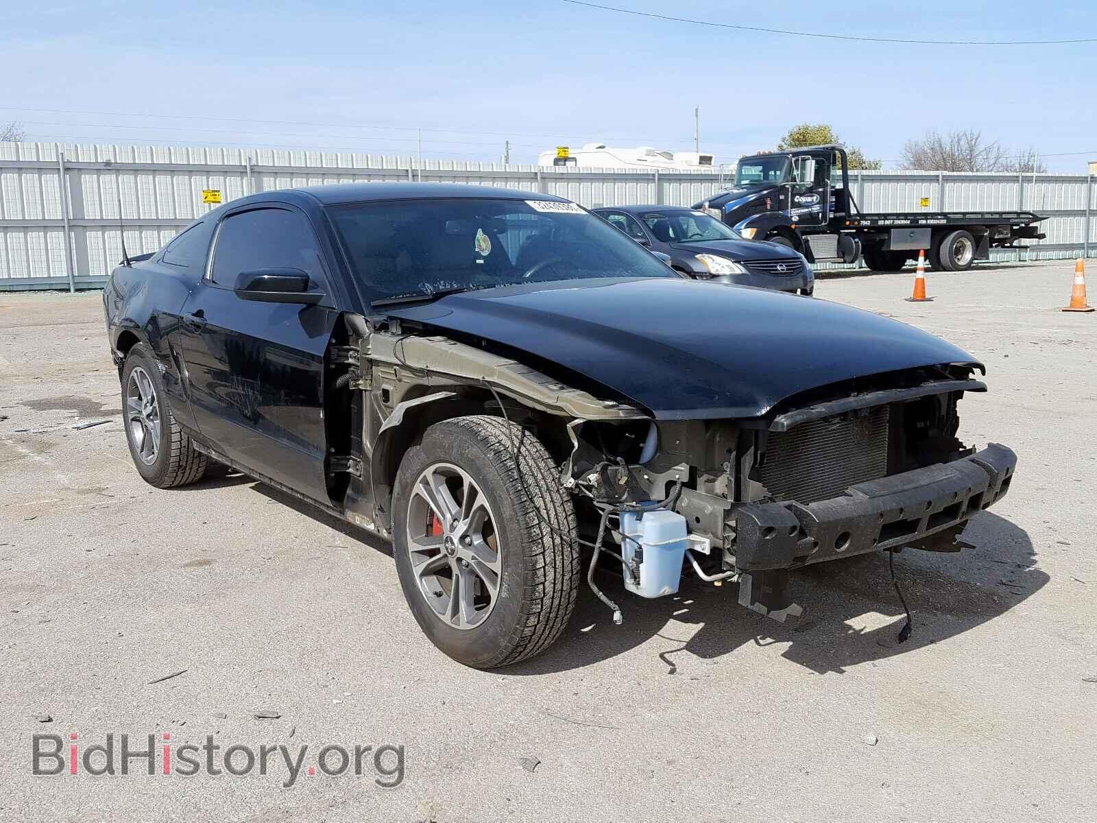 Photo 1ZVBP8AM2E5264736 - FORD MUSTANG 2014