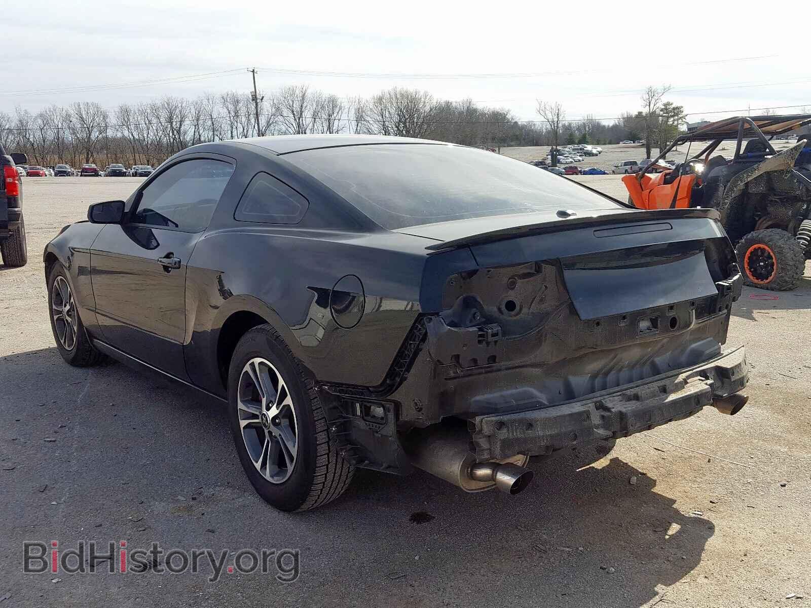 2014 FORD MUSTANG - VIN: 1ZVBP8AM2E5264736 - Фото 3