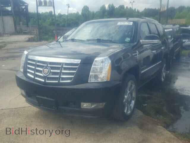 2011 CADILLAC ESCALADE - VIN: 1GYS4CEF5BR144020 - Фото 2