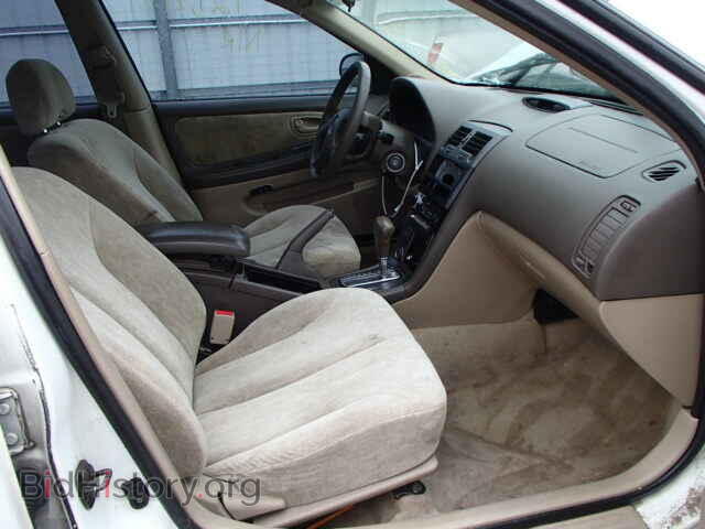 2000 NISSAN MAXIMA - VIN: JN1CA31D7YT542173 - Фото 5