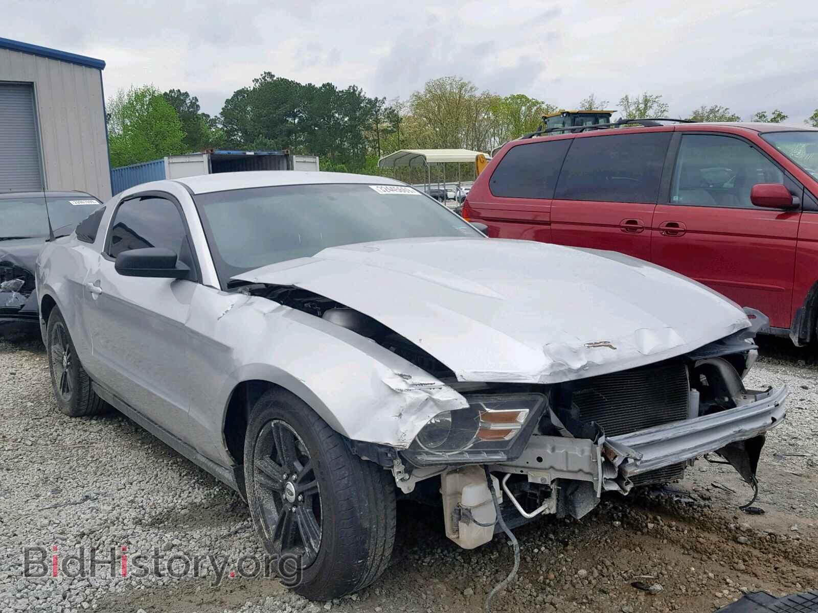 Фотография 1ZVBP8AM2C5212410 - FORD MUSTANG 2012