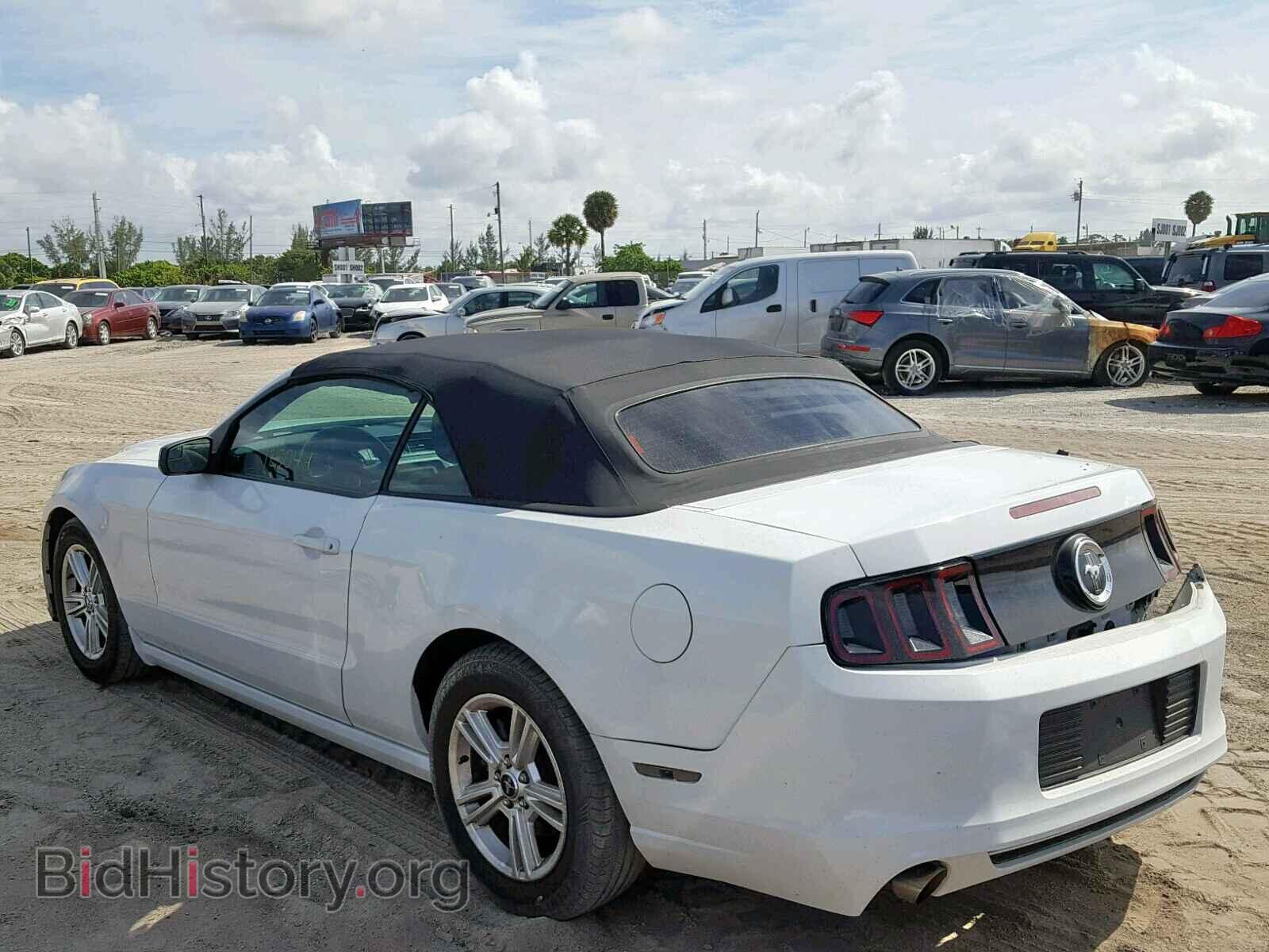 2014 FORD MUSTANG - VIN: 1ZVBP8EM4E5208579 - Фото 3