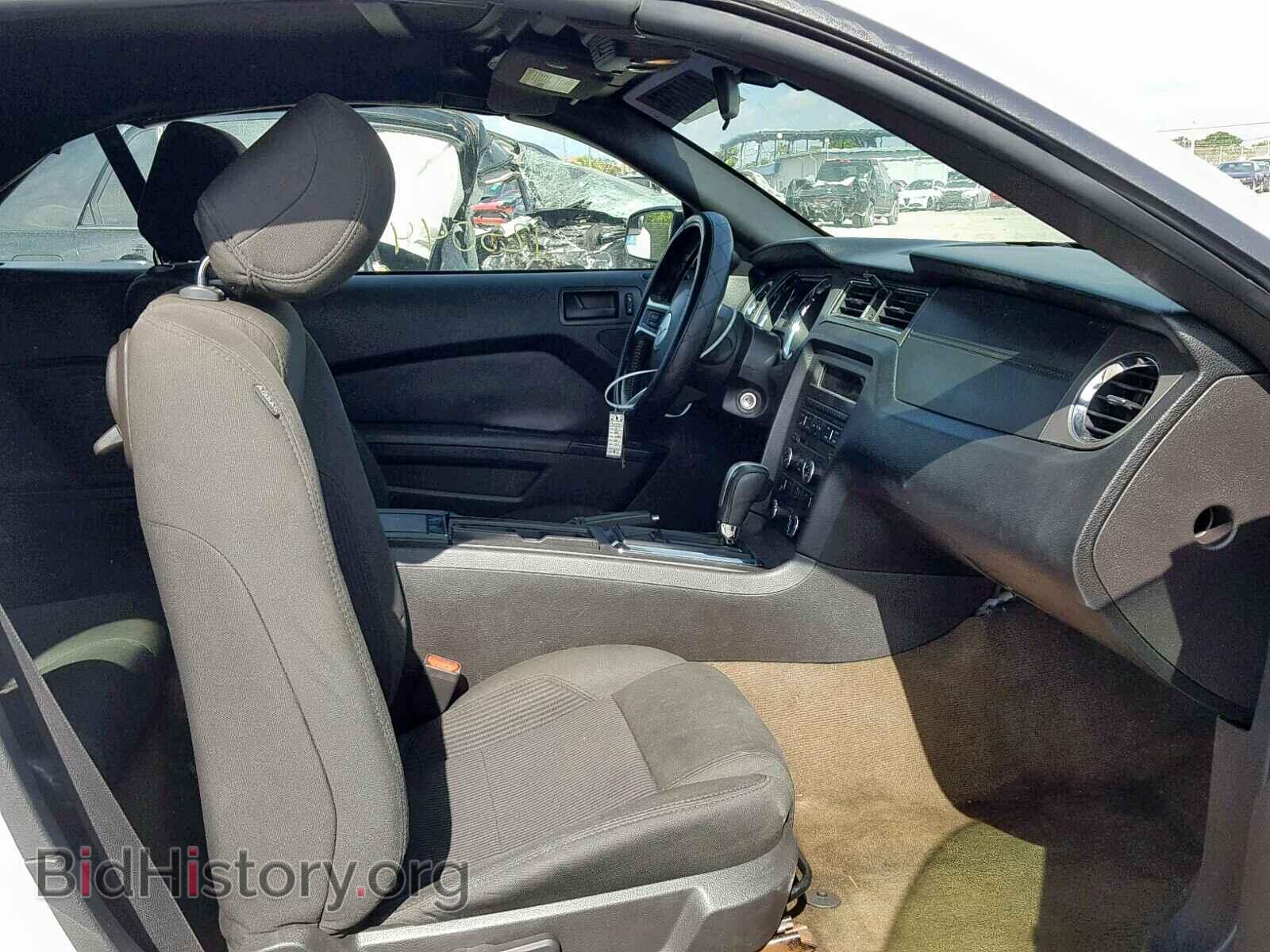 2014 FORD MUSTANG - VIN: 1ZVBP8EM4E5208579 - Фото 5