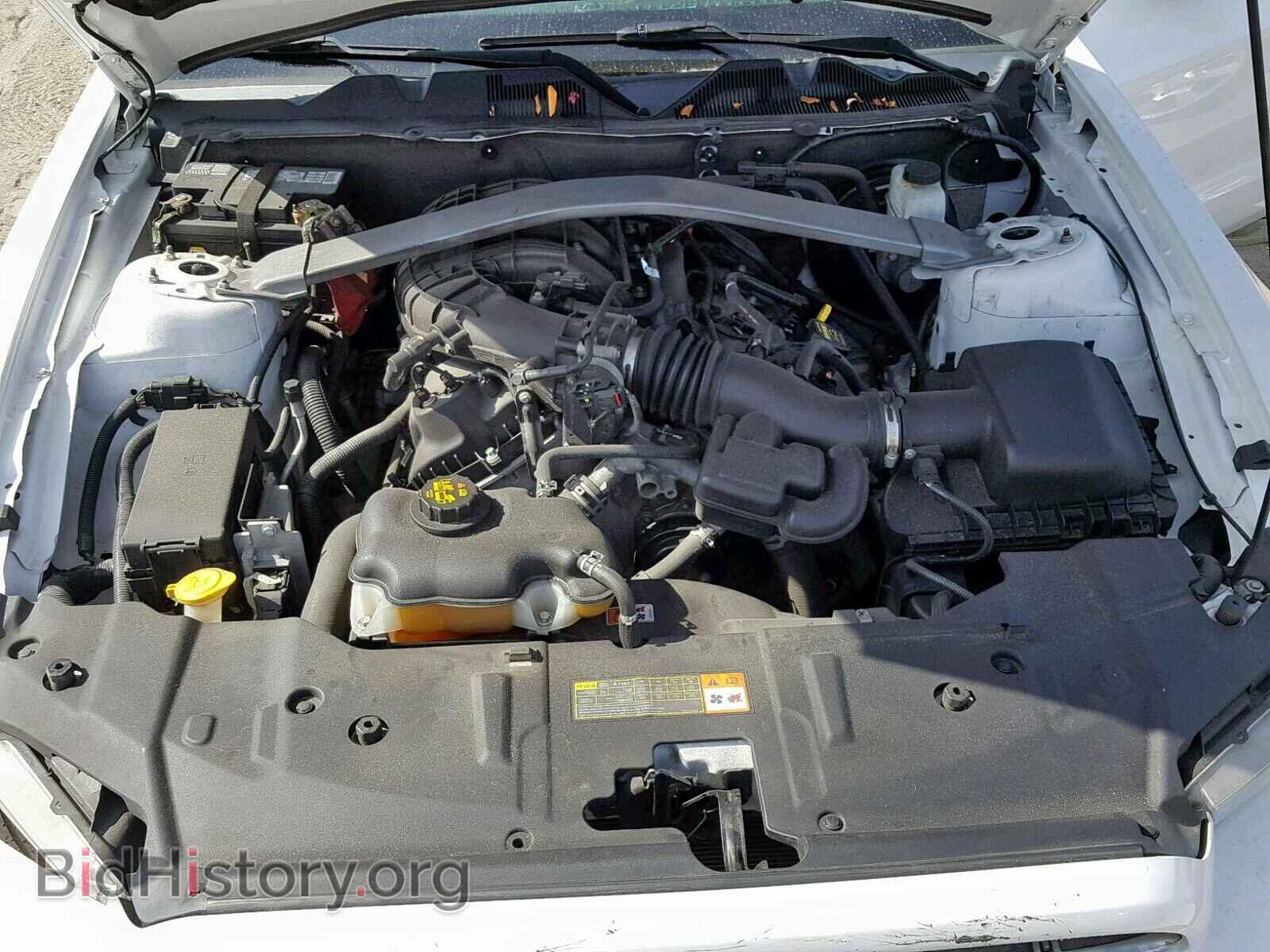 2014 FORD MUSTANG - VIN: 1ZVBP8EM4E5208579 - Фото 7