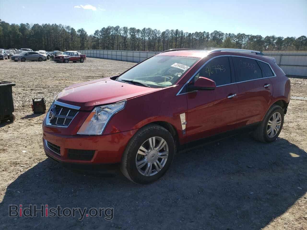2011 CADILLAC SRX - VIN: 3GYFNAEY3BS565784 - Фото 2