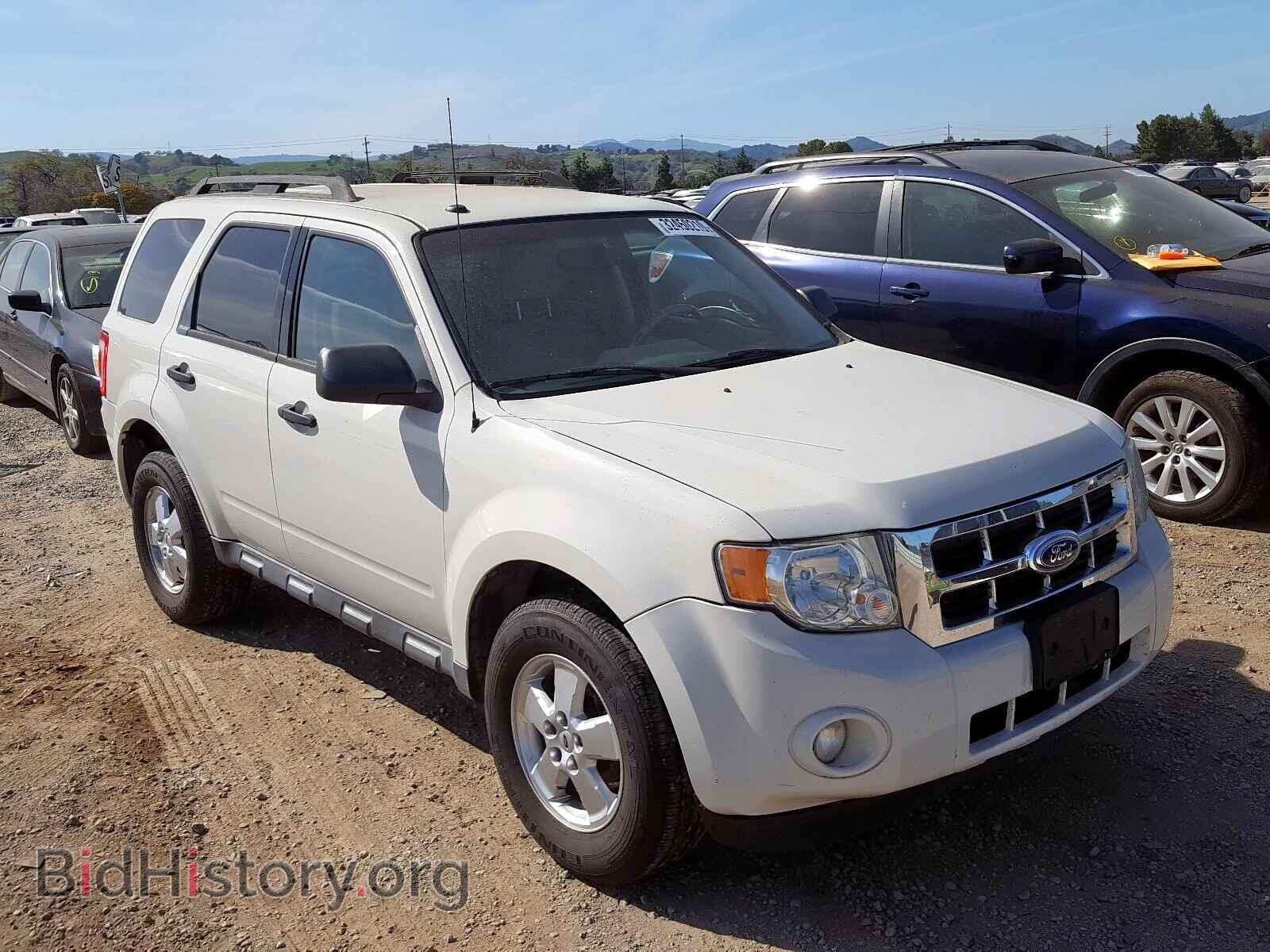 Фотография 1FMCU0D75BKB59981 - FORD ESCAPE 2011