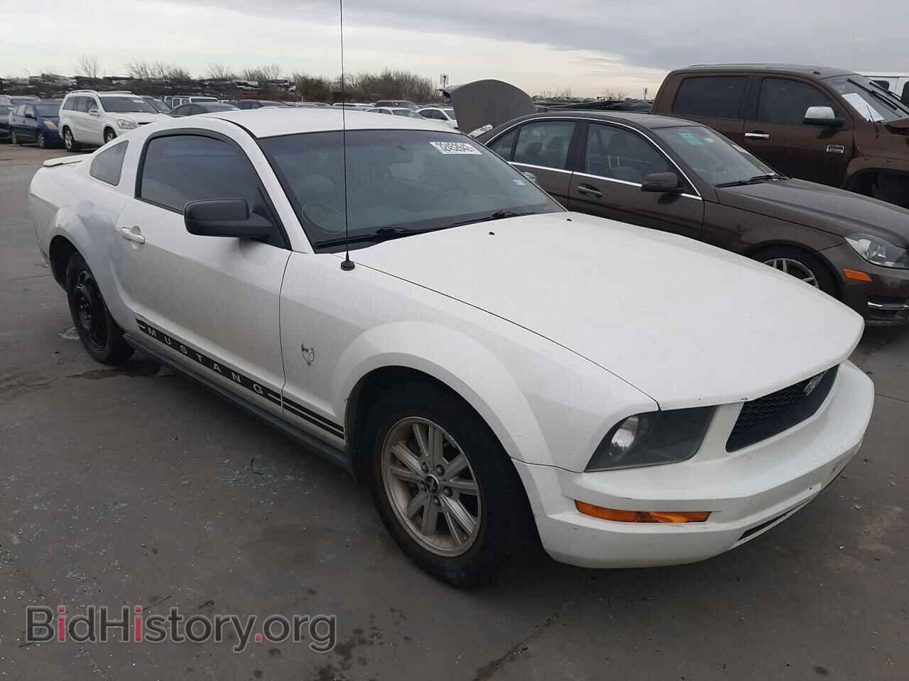 Photo 1ZVHT80N695140555 - FORD MUSTANG 2009