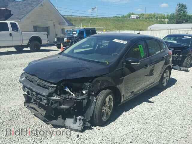 2013 FORD FOCUS - VIN: 1FADP3K22DL339608 - Фото 2