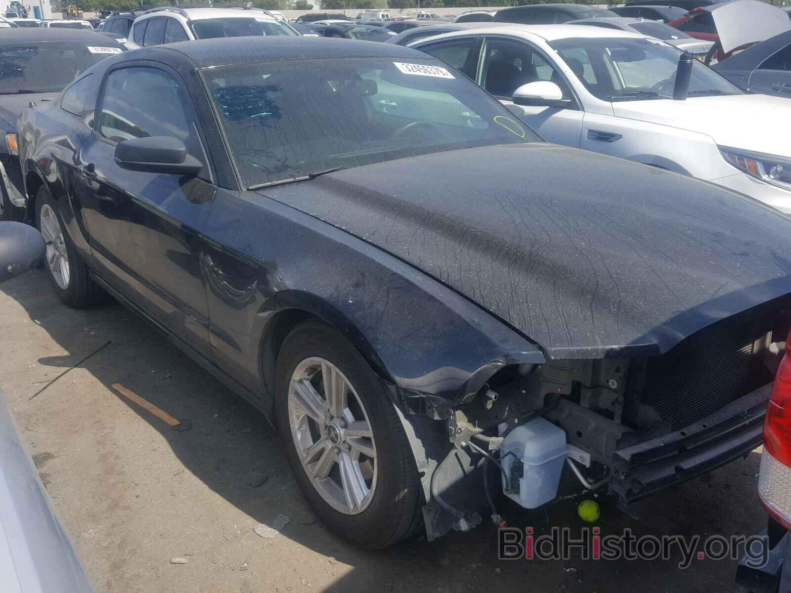 Photo 1ZVBP8AM2E5299437 - FORD MUSTANG 2014