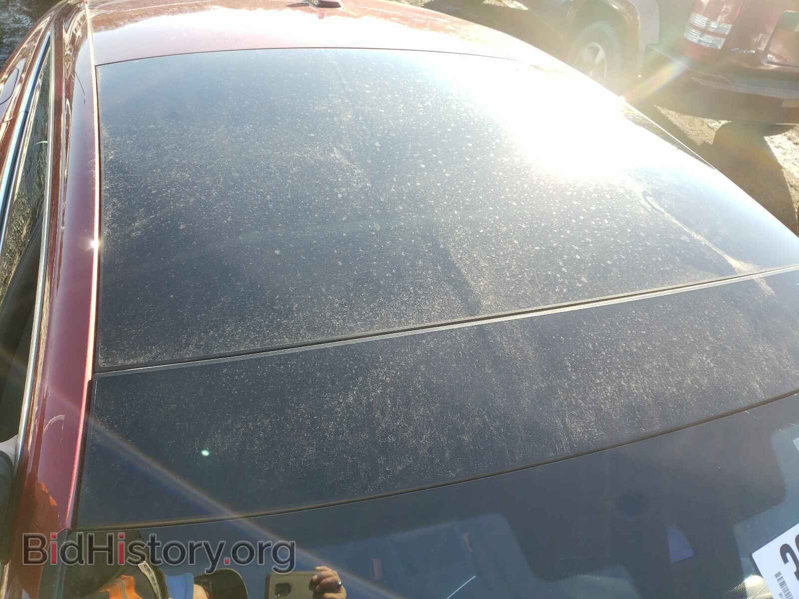 2019 AUDI A5 - VIN: WAUCNCF55KA007006 - Фото 9