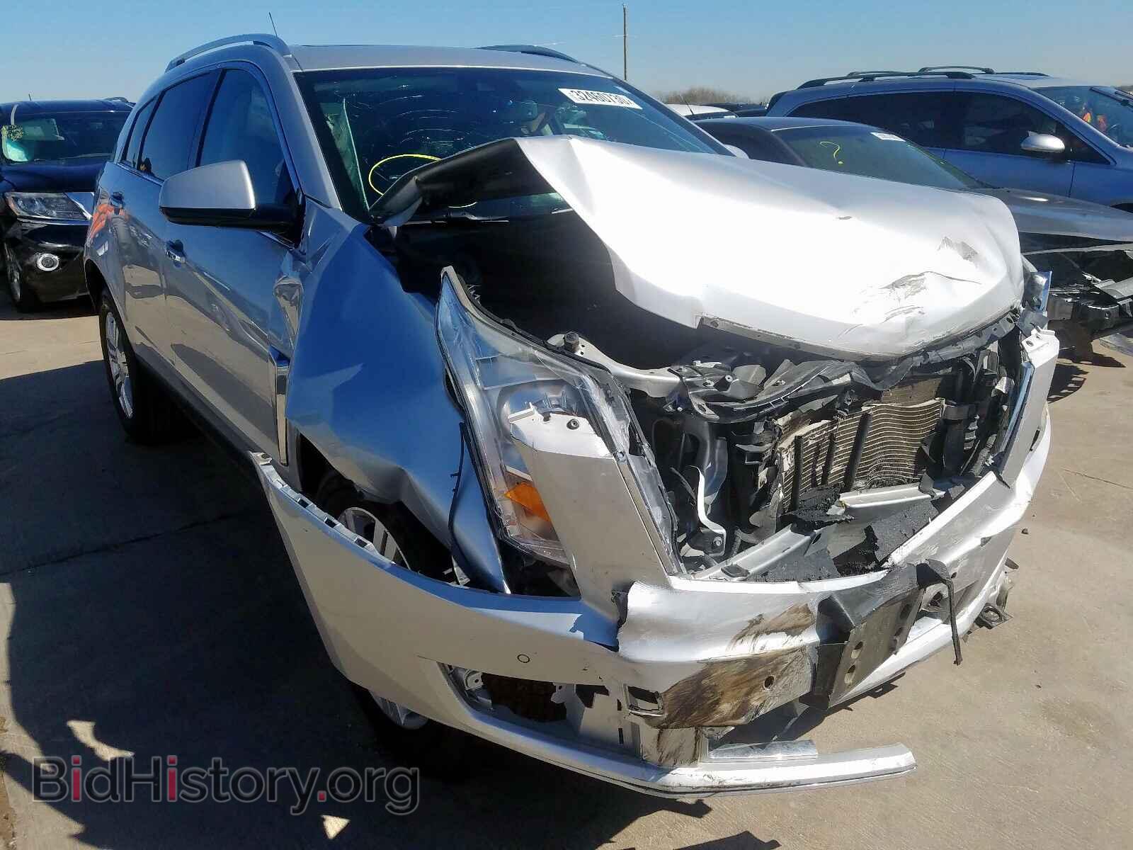 Фотография 3GYFNCE32DS536196 - CADILLAC SRX 2013