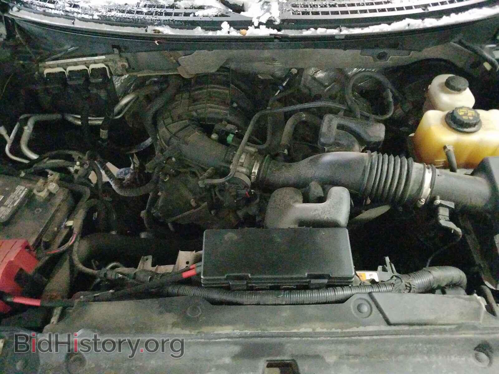 2013 FORD F150 - VIN: 1FTMF1CM1DKF75514 - Фото 7