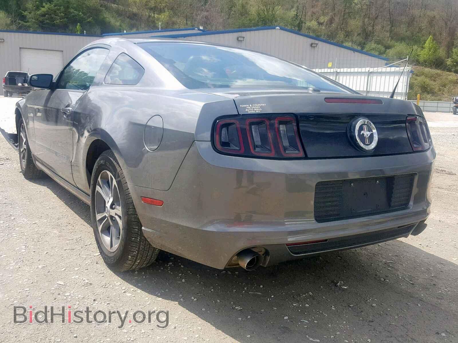 2014 FORD MUSTANG - VIN: 1ZVBP8AMXE5266895 - Фото 3