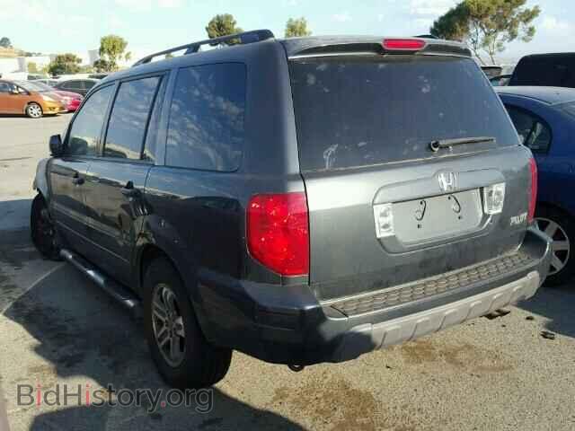 2005 HONDA PILOT - VIN: 2HKYF18555H547055 - Фото 3